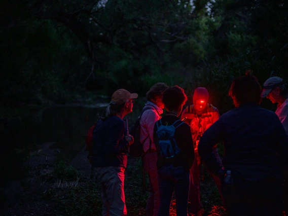 Rachel Laura and volunteers prepare for a night of surveying fireflies