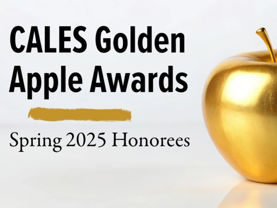 Picture of a golden apple