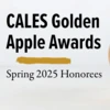 Picture of a golden apple