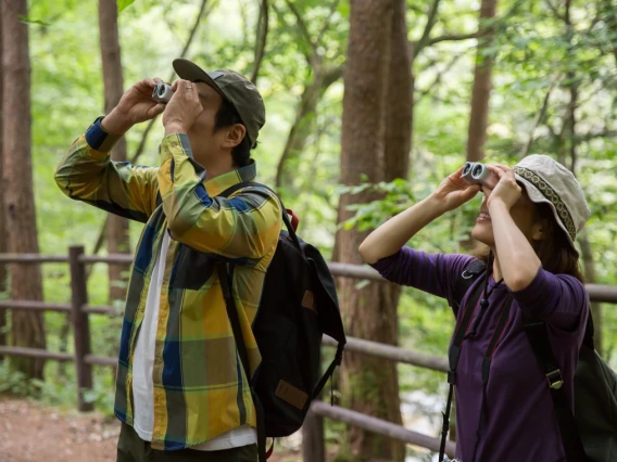 Two citizen scientists use binoculars to observe forest wildlife.