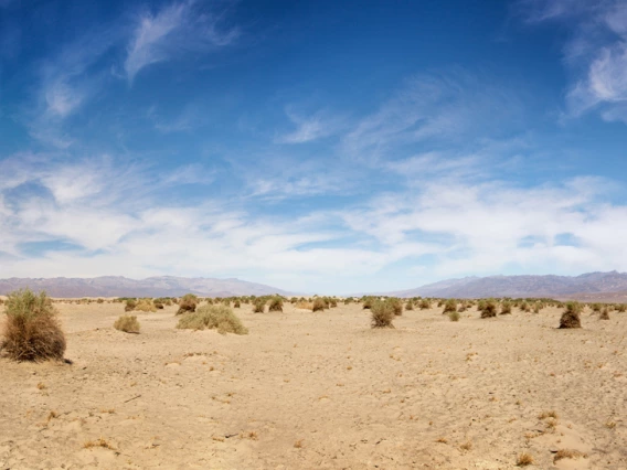 photo of desert