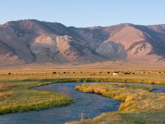 photo of river and mountain