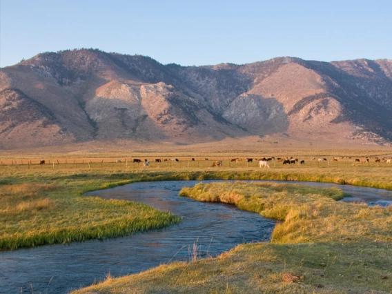 photo of river and mountain