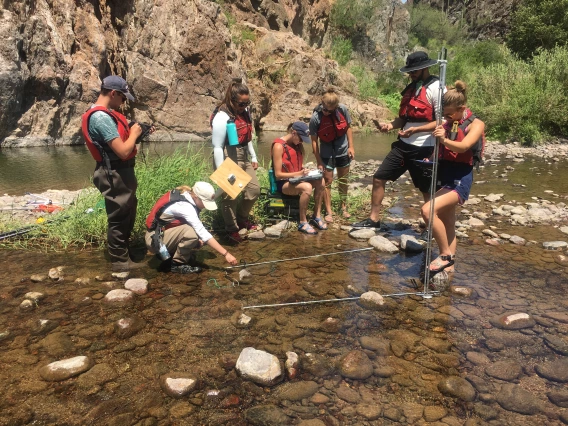 Researchers standing in a river taking measurements