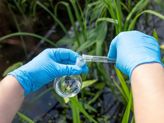 photo of person testing water sample