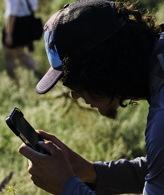 Students documenting biodiversity on the Santa Rita Experimental Range, Fall 2023