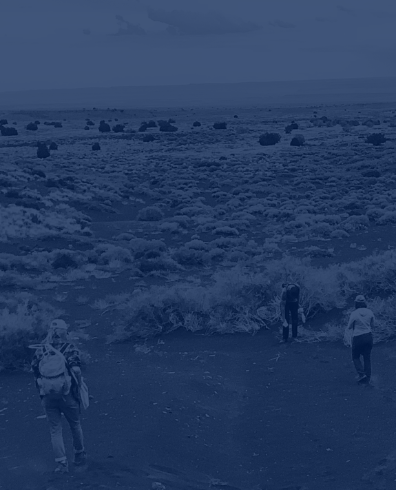 Group of people walking through desert