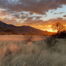 SRER pasture 1 at sunset