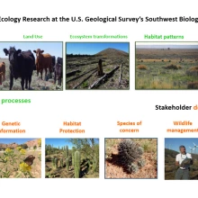 Terrestrial Dryland Ecology Research at the U.S. Geological Survey's Southwest Biological Science Center