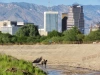 Vaquero in Santa Cruz River